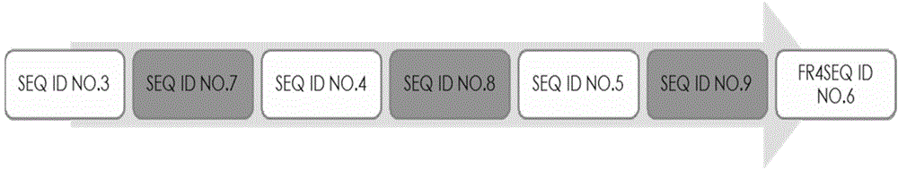 Single-domain antibody resistant to human beta2-microglobulin as well as preparation method and application of single-domain antibody