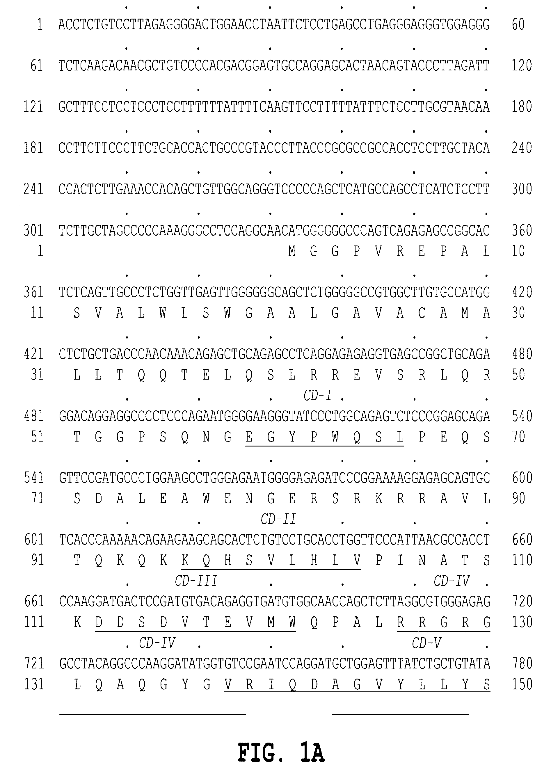 Human tumor necrosis factor delta polypeptides