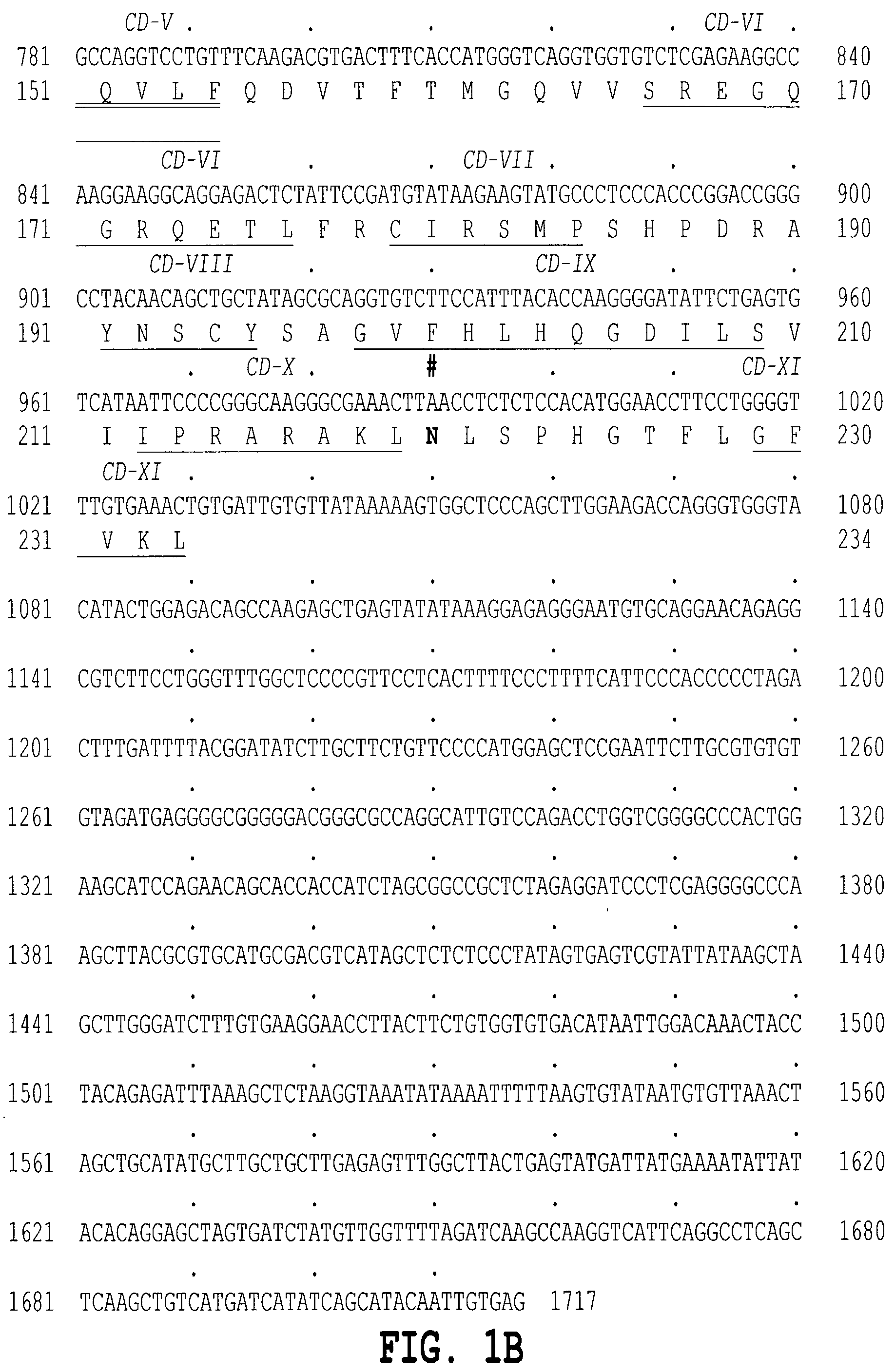 Human tumor necrosis factor delta polypeptides