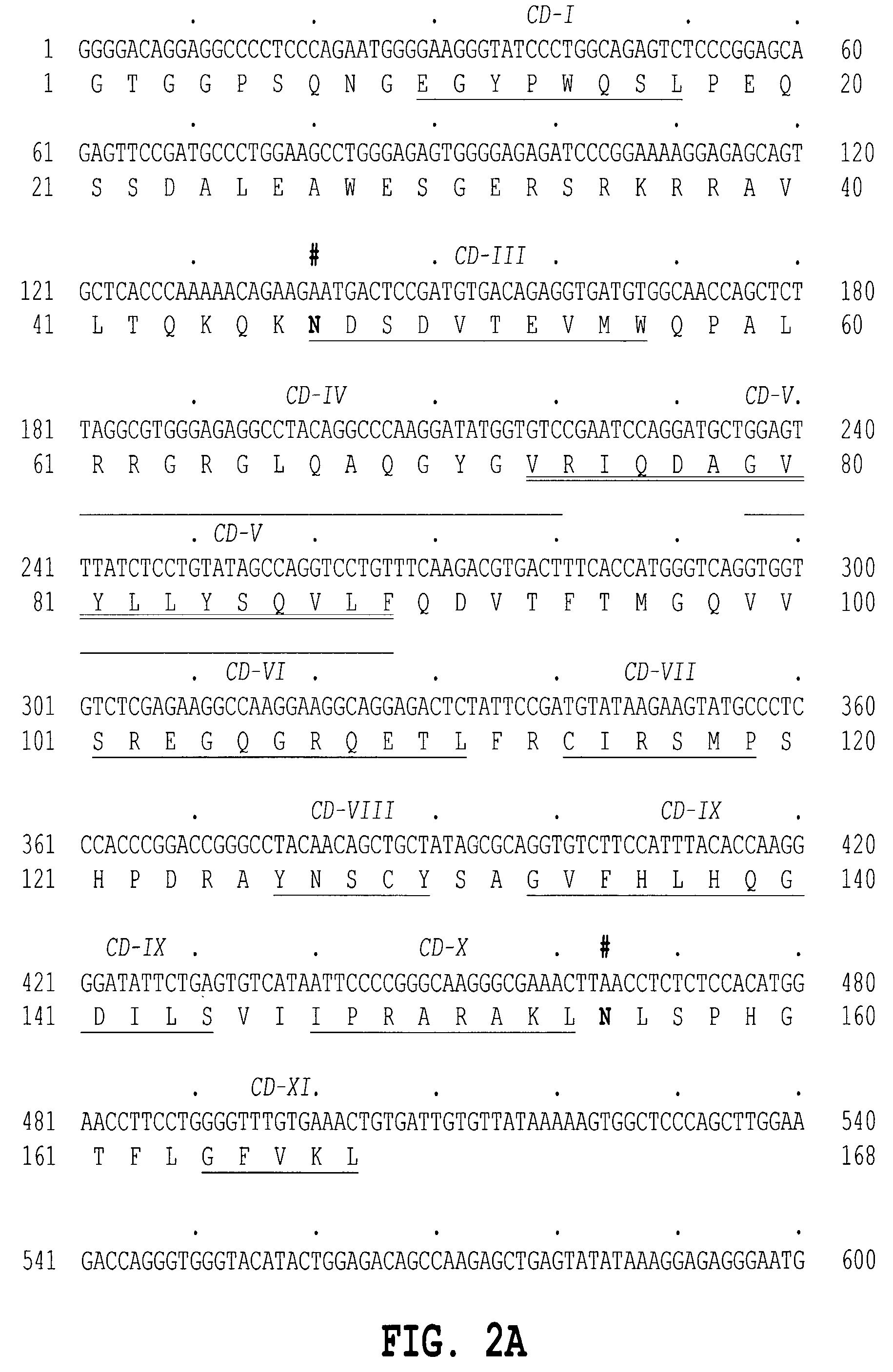 Human tumor necrosis factor delta polypeptides