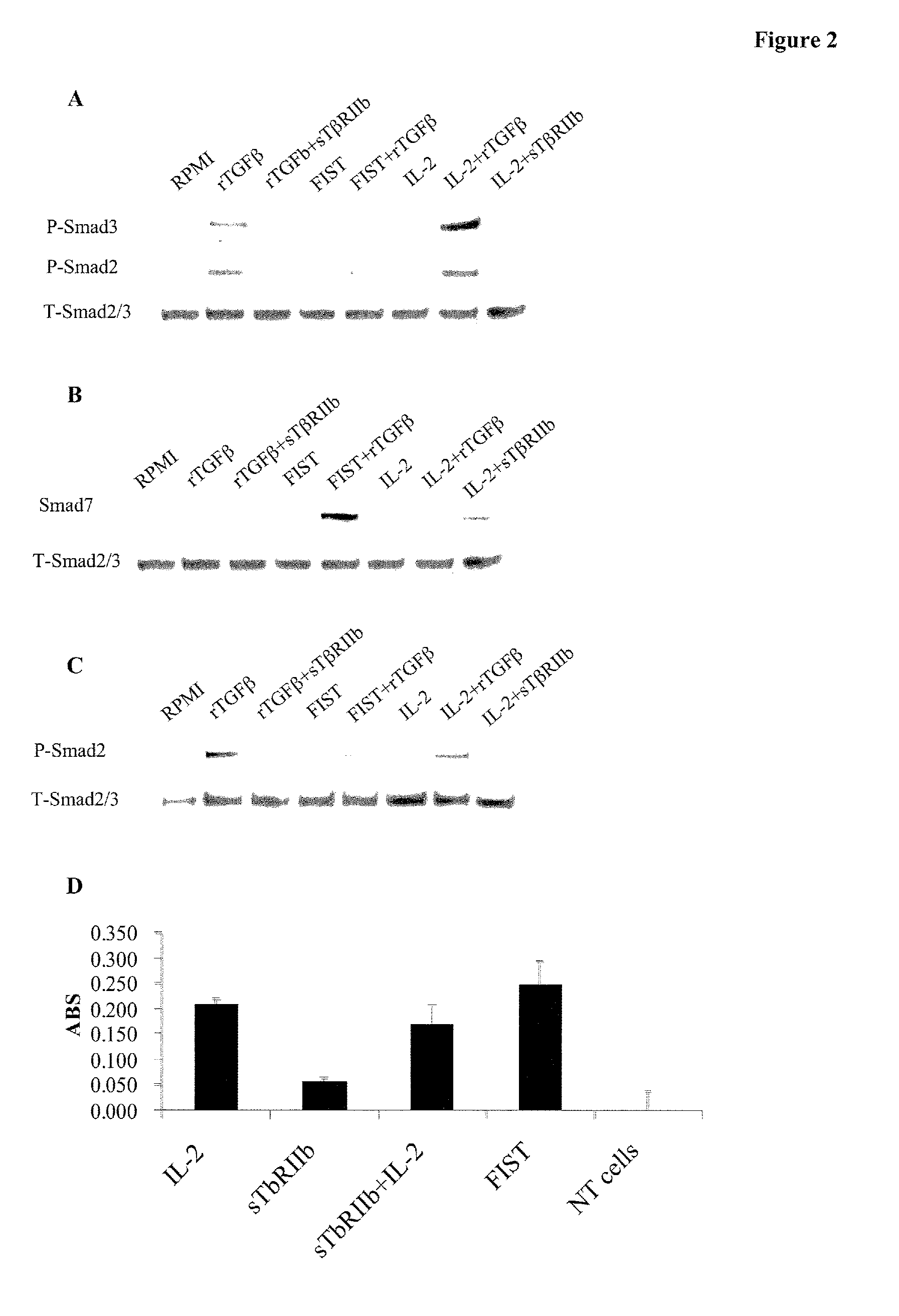 Interleukin-2/soluble TGA-beta type II receptor B conjugates and methods and uses thereof