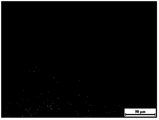 Corrosive agent for displaying fine austenite grain boundary of low-carbon microalloyed steel and using method