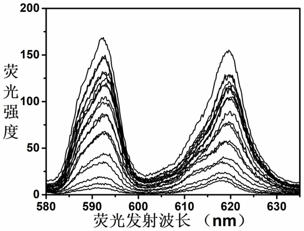 Fluorescent probe based on polyoxometallate and assembly of polyoxometallate and application of fluorescent probe in spermine detection