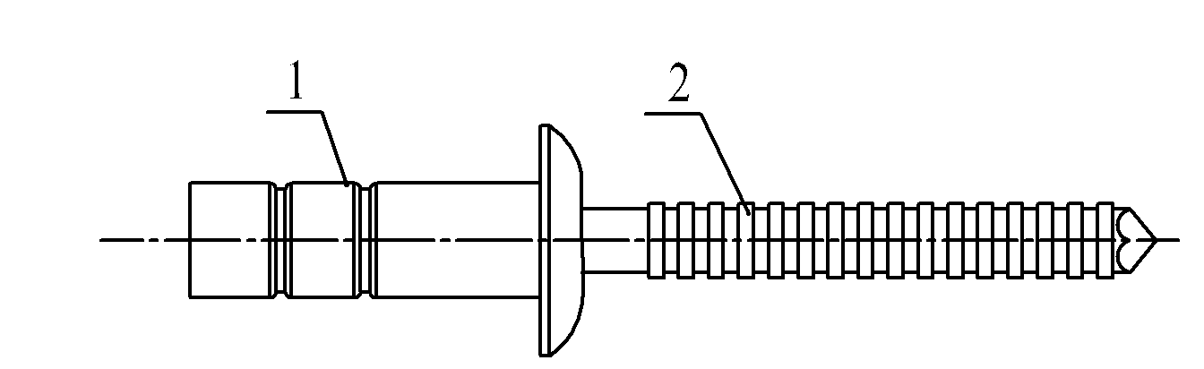 High-intensity sealed drum type rivet