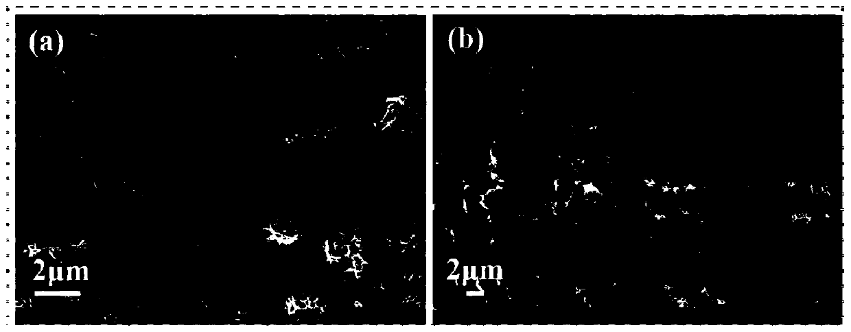 Flower-shaped nitrogen-doped carbon-spinel type microspherical catalyst with high specific surface area as well as preparation method and application thereof