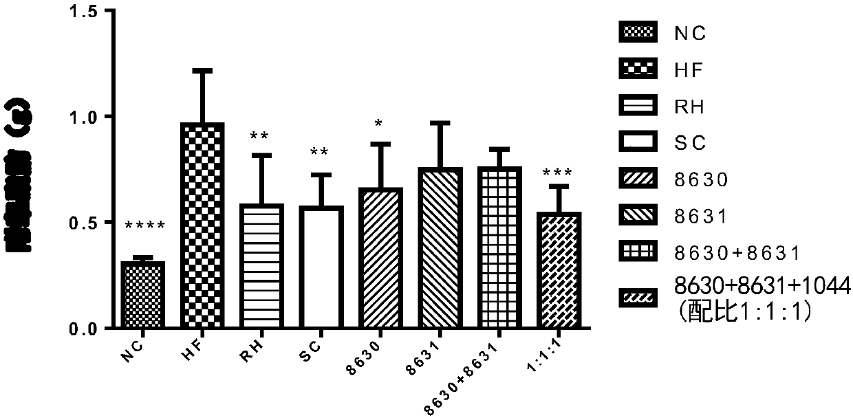 Probiotic composition and application thereof