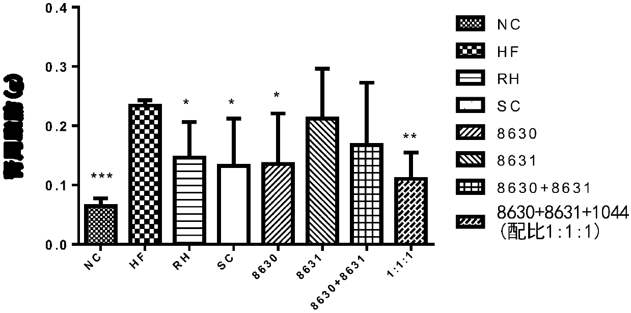 Probiotic composition and application thereof