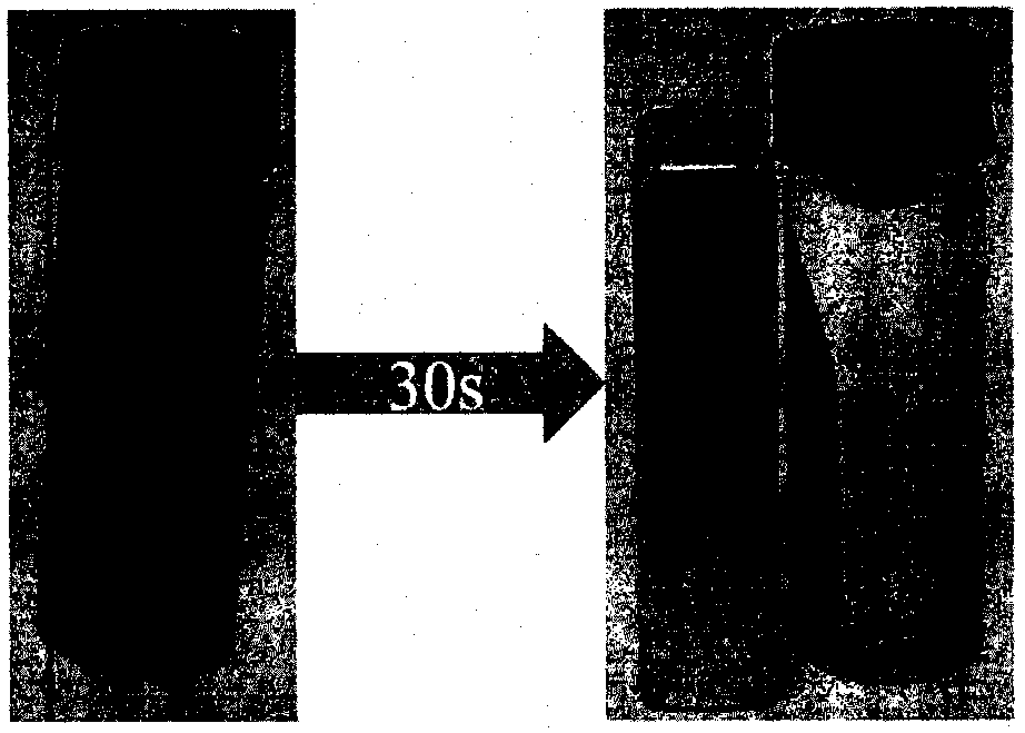 Magnetic molecular sieve catalyst doped with transition metal and preparation method and application of magnetic molecular sieve catalyst