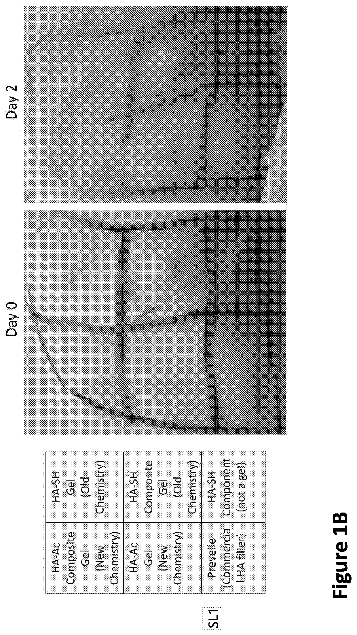 Nanofiber-hydrogel composites for cell and tissue delivery