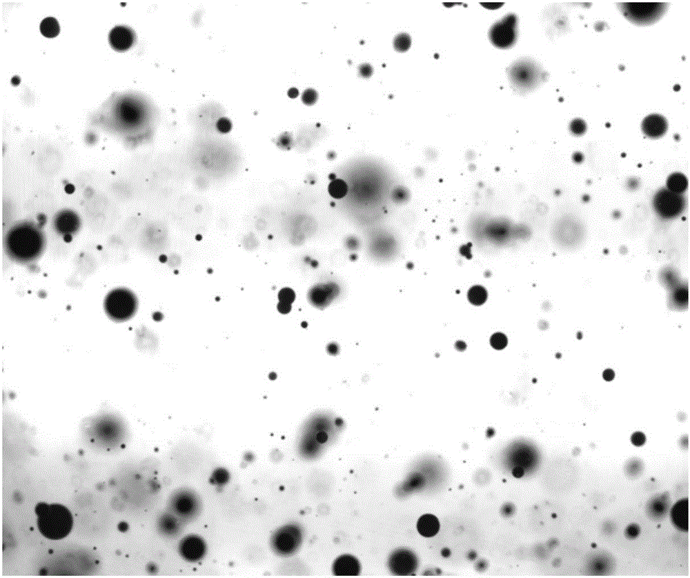 Oil dispersant underwater injection effect assessment method