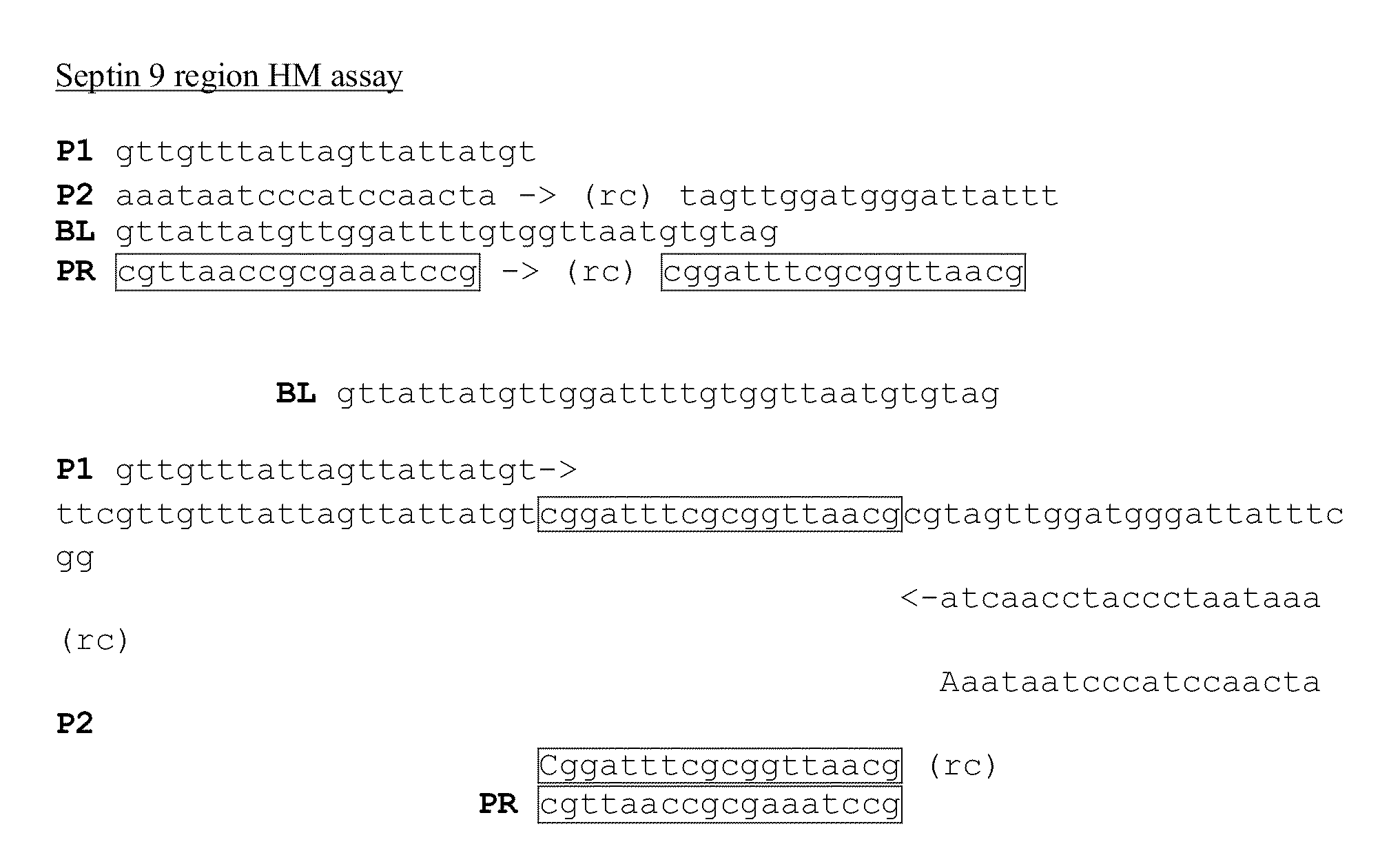 Methods for preservation of genomic DNA sequence complexity