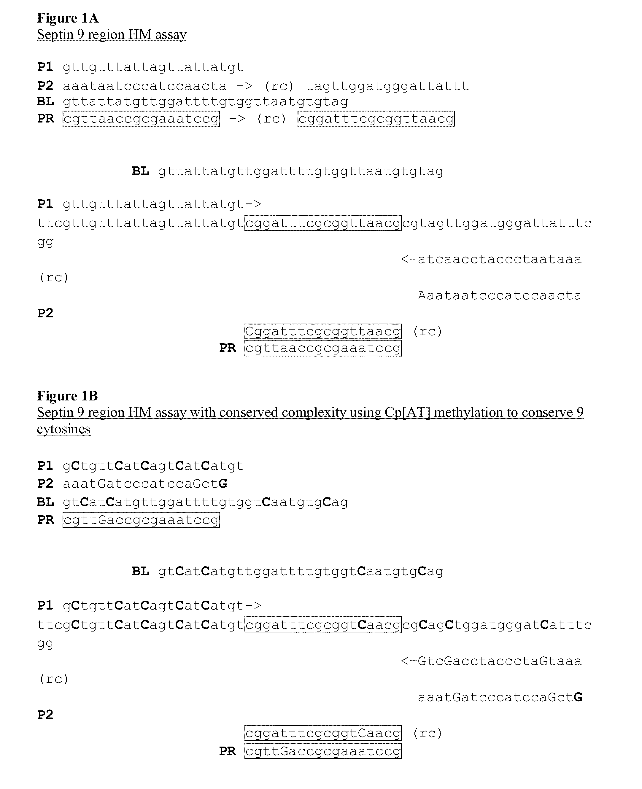 Methods for preservation of genomic DNA sequence complexity