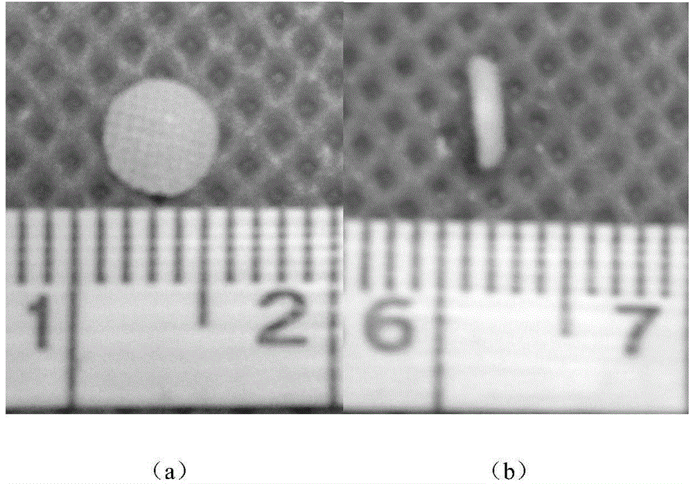 Porous decellularized tissue engineering cartilage support and preparation method thereof