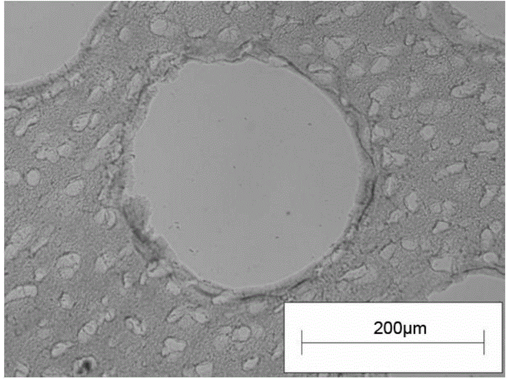 Porous decellularized tissue engineering cartilage support and preparation method thereof