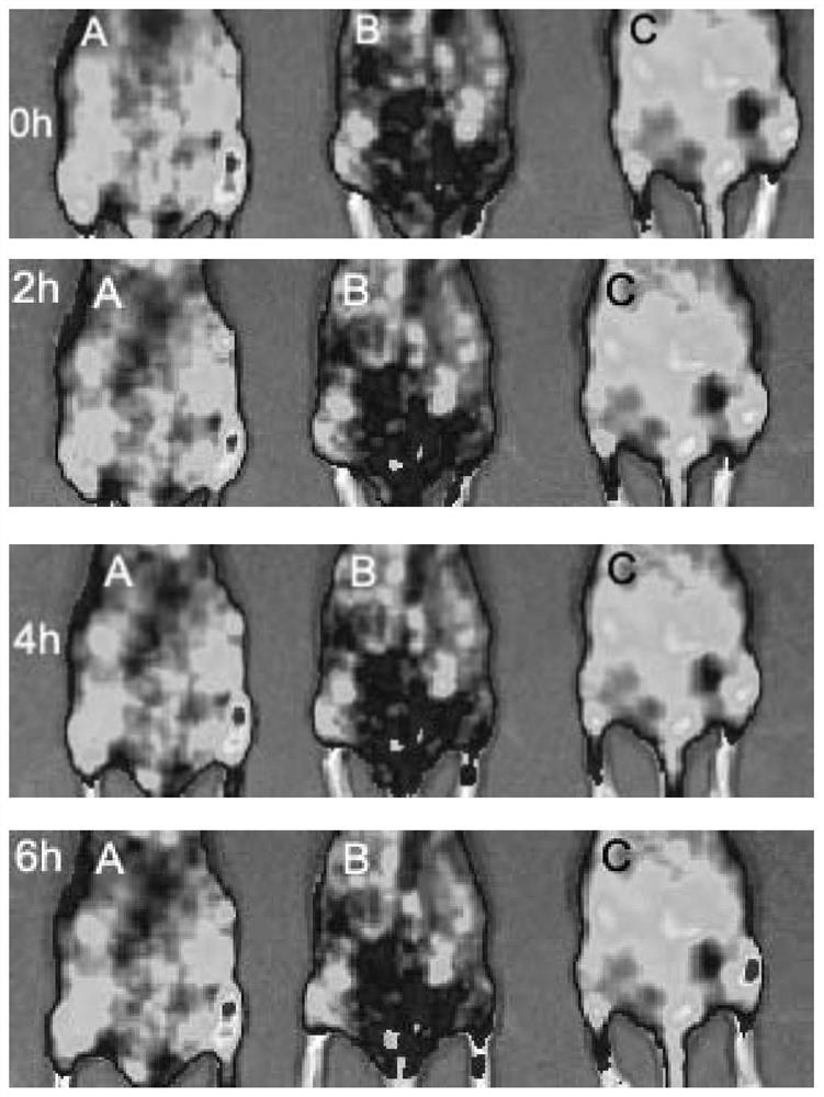 Natural high-SPF sun-screening agent, preparation method and application thereof in cosmetics