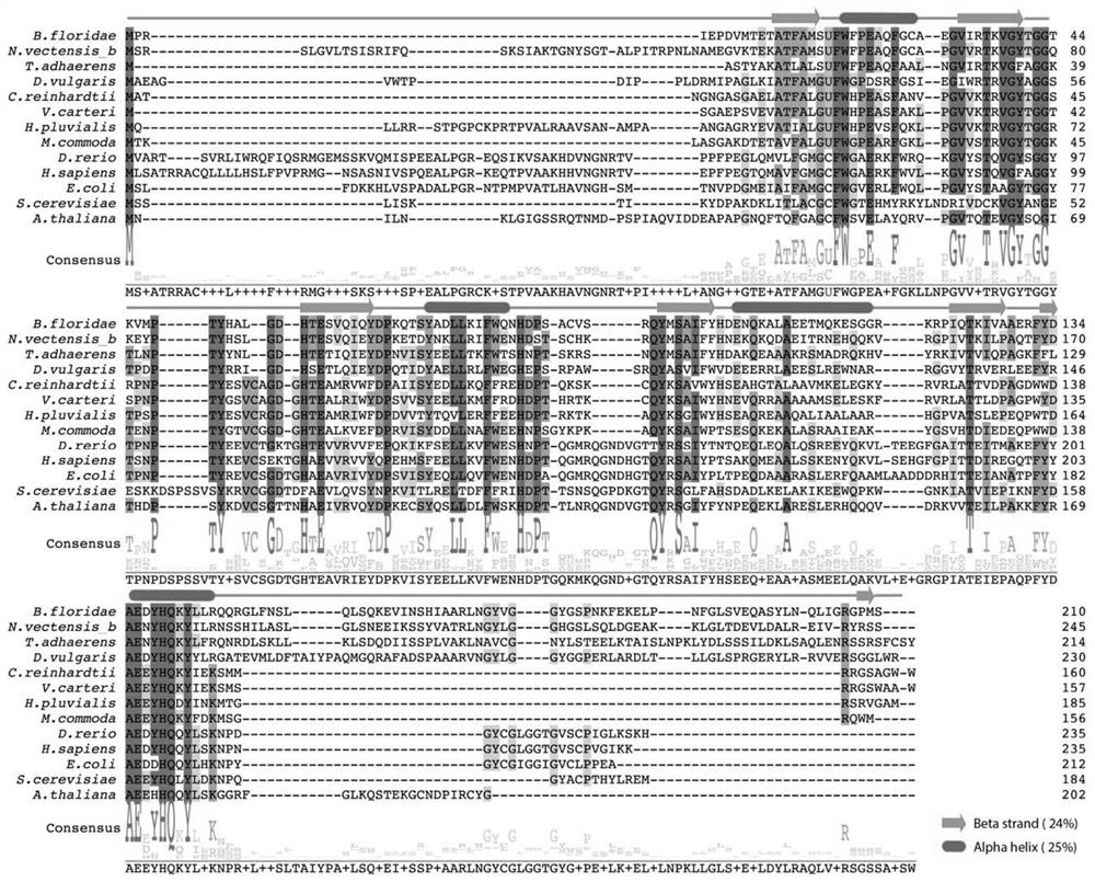 A kind of methionine sulfoxide reductase and its coding gene, preparation method and application