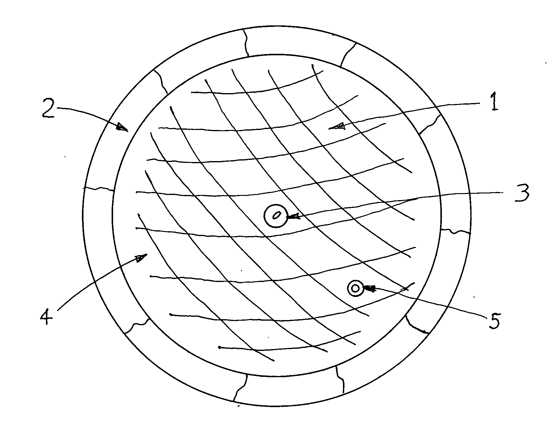 Process and Apparatus for Sealing Wellhead Leaks Underwater or On Land