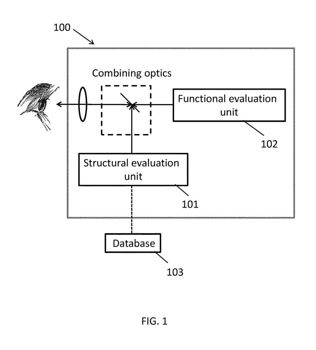 Systems and methods for combined structure and function evaluation of retina