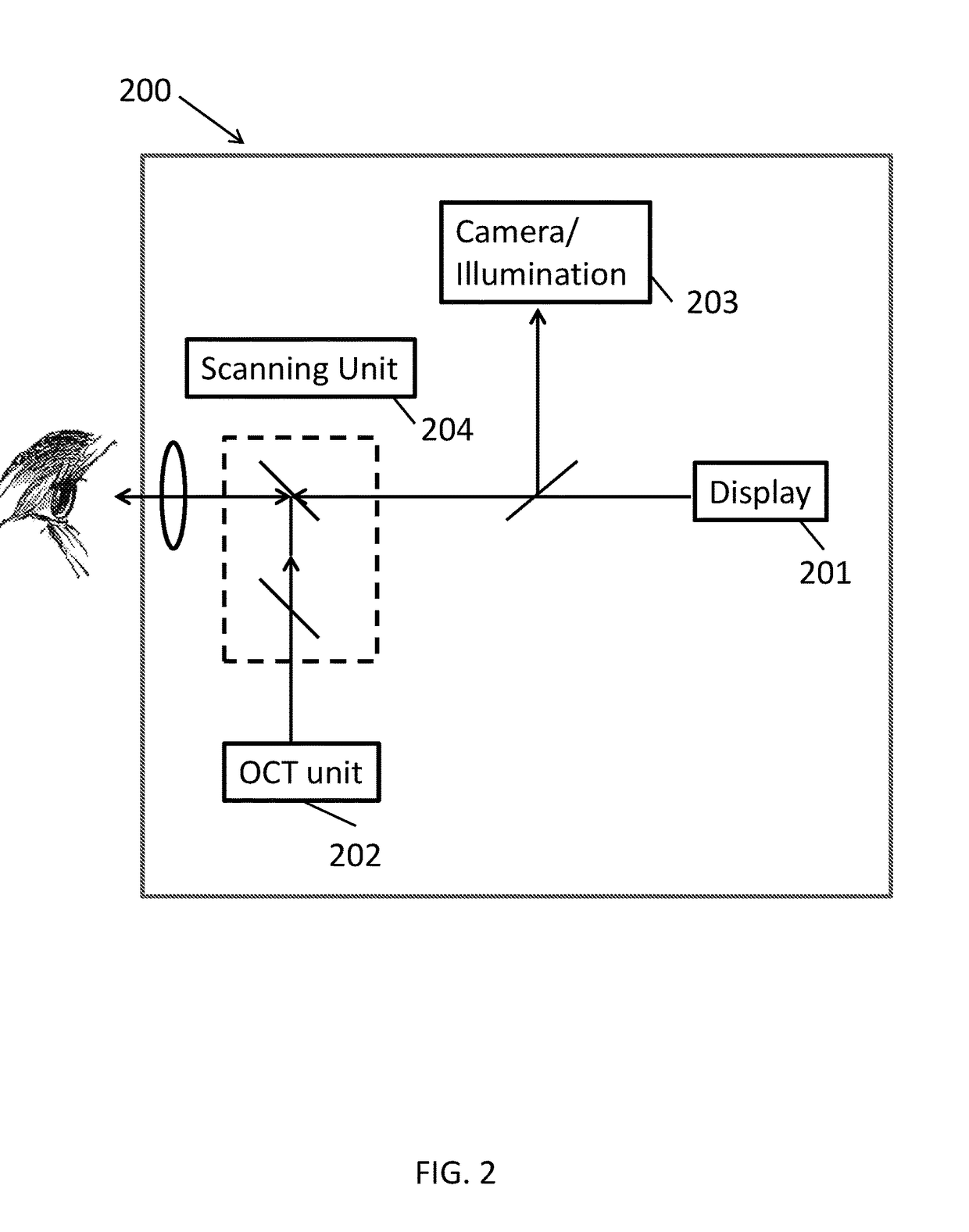 Systems and methods for combined structure and function evaluation of retina