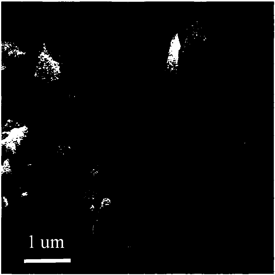 Carbon based bimetallic composite material, preparation and application thereof