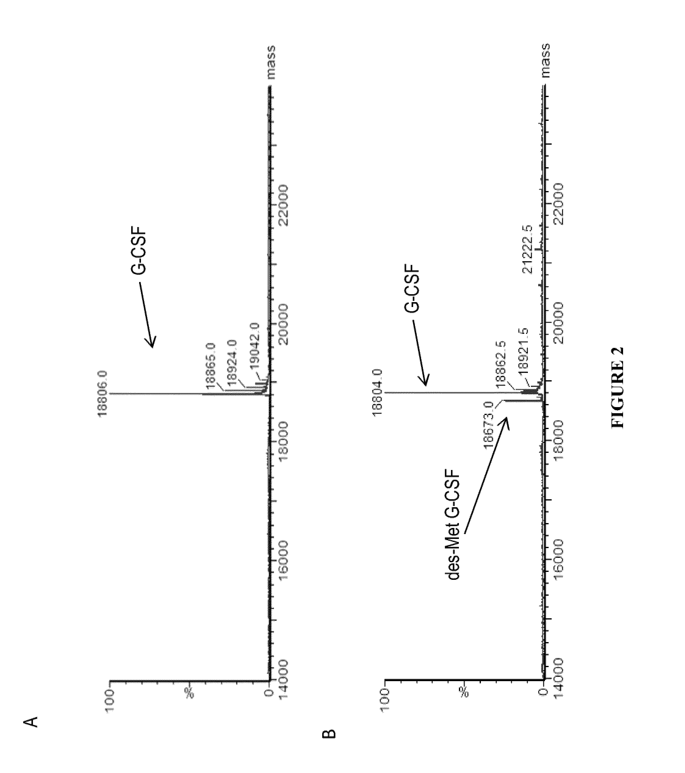 Methods for G-CSF production in a Pseudomonas host cell