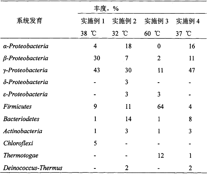 Flora construction method for residual oil gasification exploitation of oil deposit