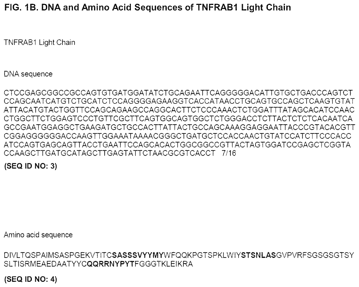 Antagonistic anti-tumor necrosis factor receptor 2 antibodies