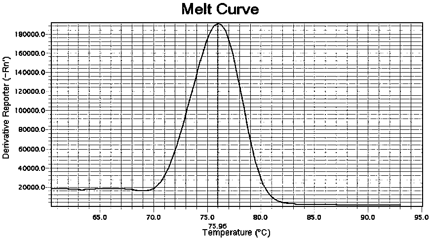 BRAF gene mutation detection system and kit thereof