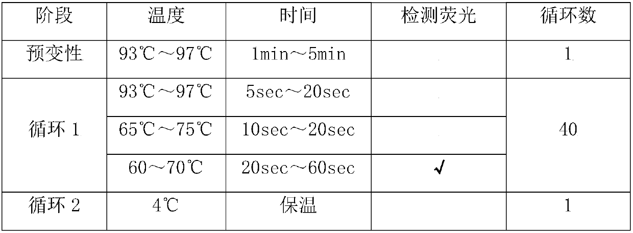 BRAF gene mutation detection system and kit thereof