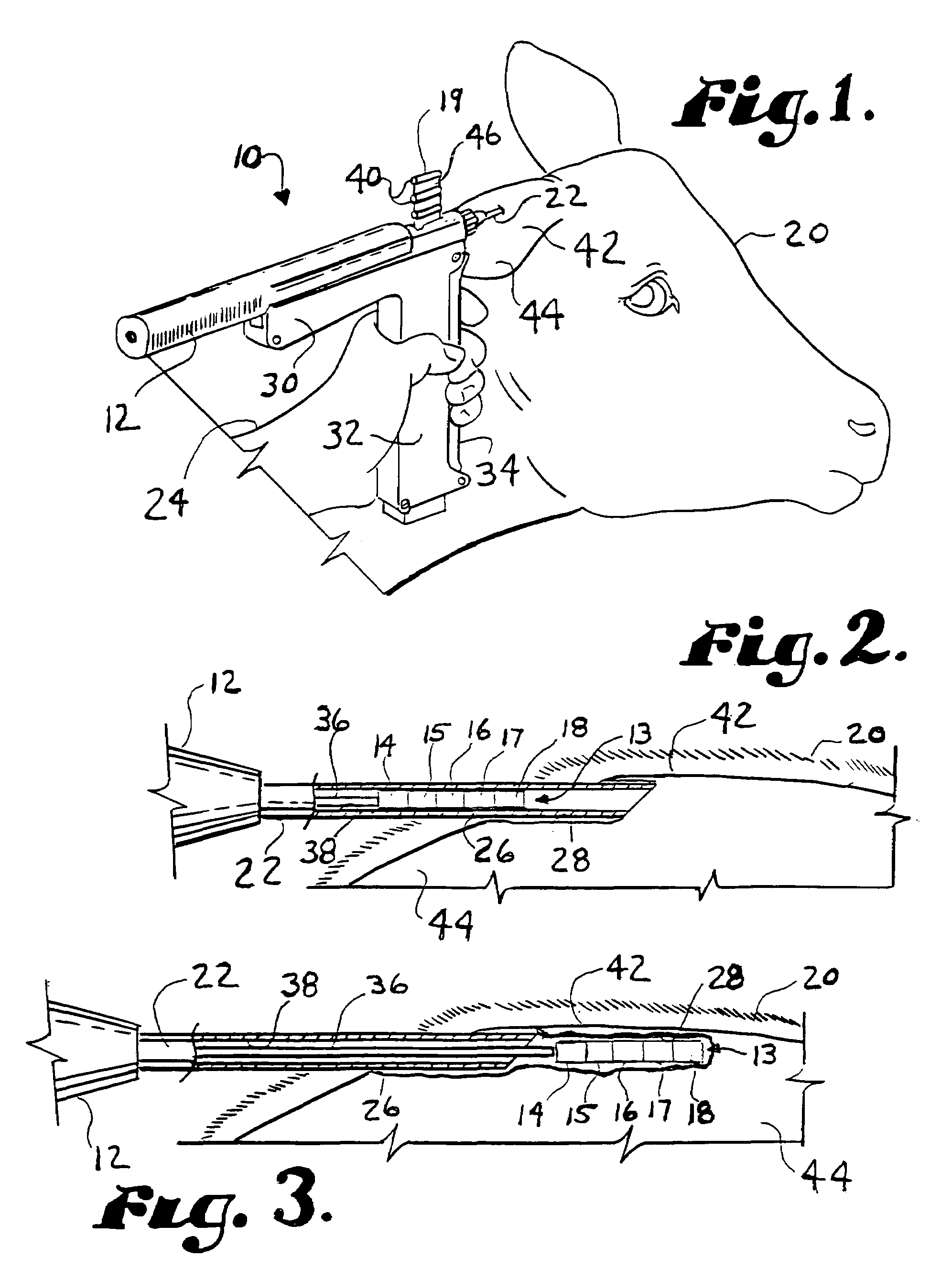 Growth promoting pharmaceutical implant