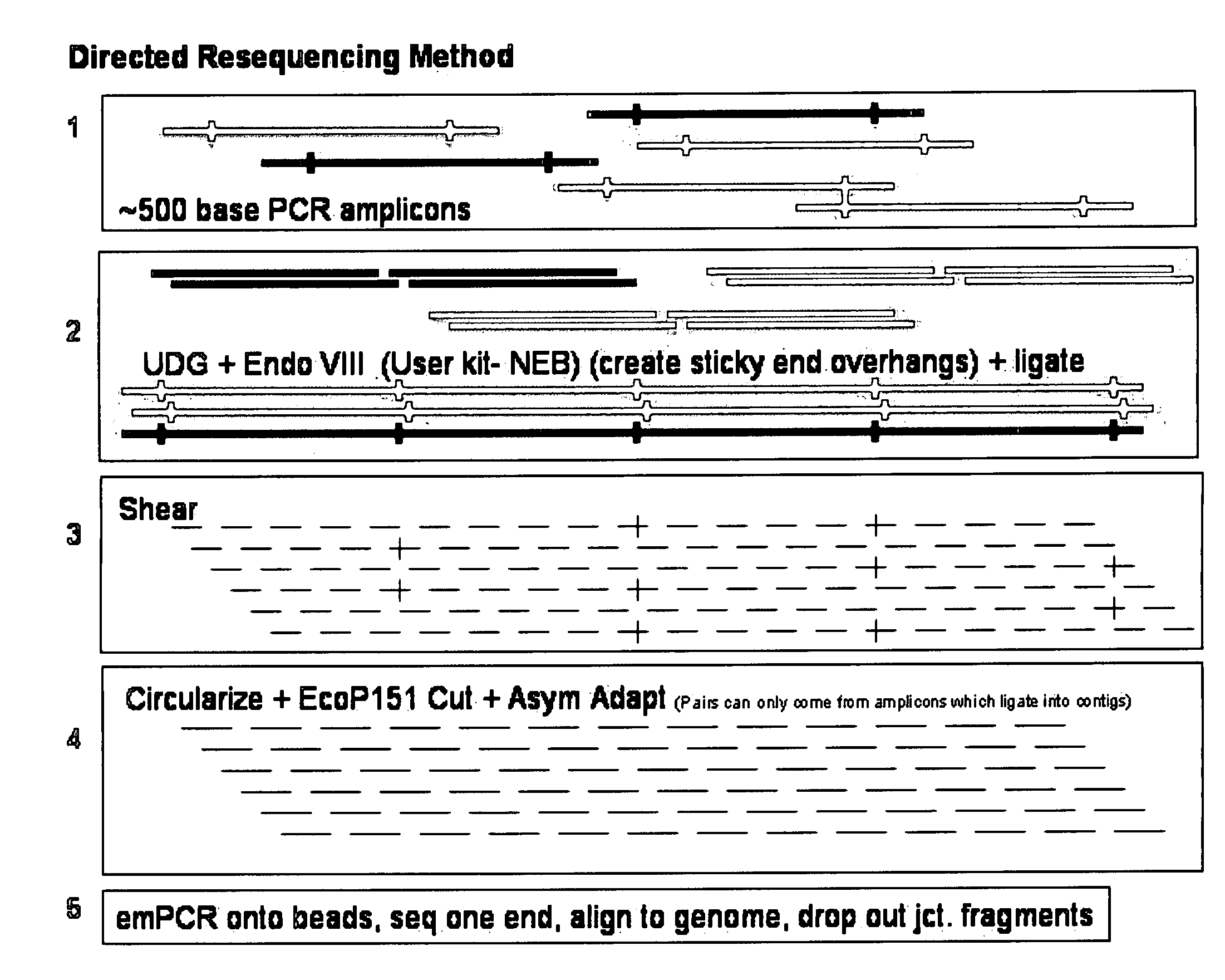 Directed assembly of amplicons to enhance read pairing signature with massively parallel short read sequencers