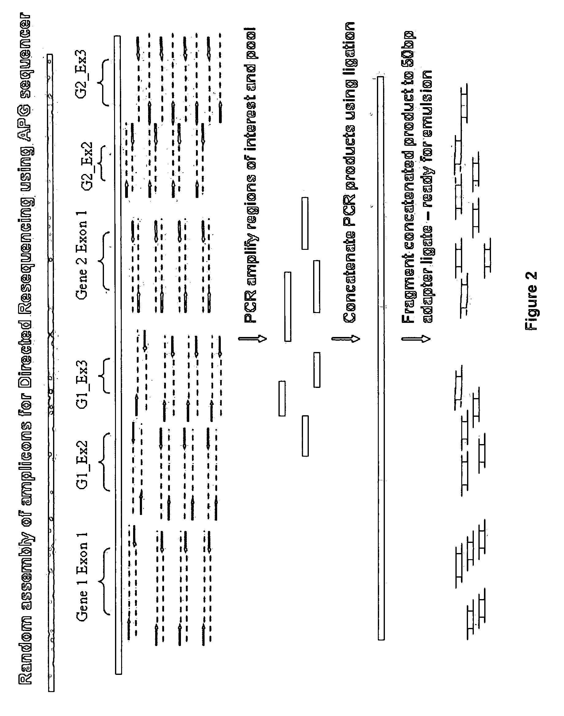 Directed assembly of amplicons to enhance read pairing signature with massively parallel short read sequencers