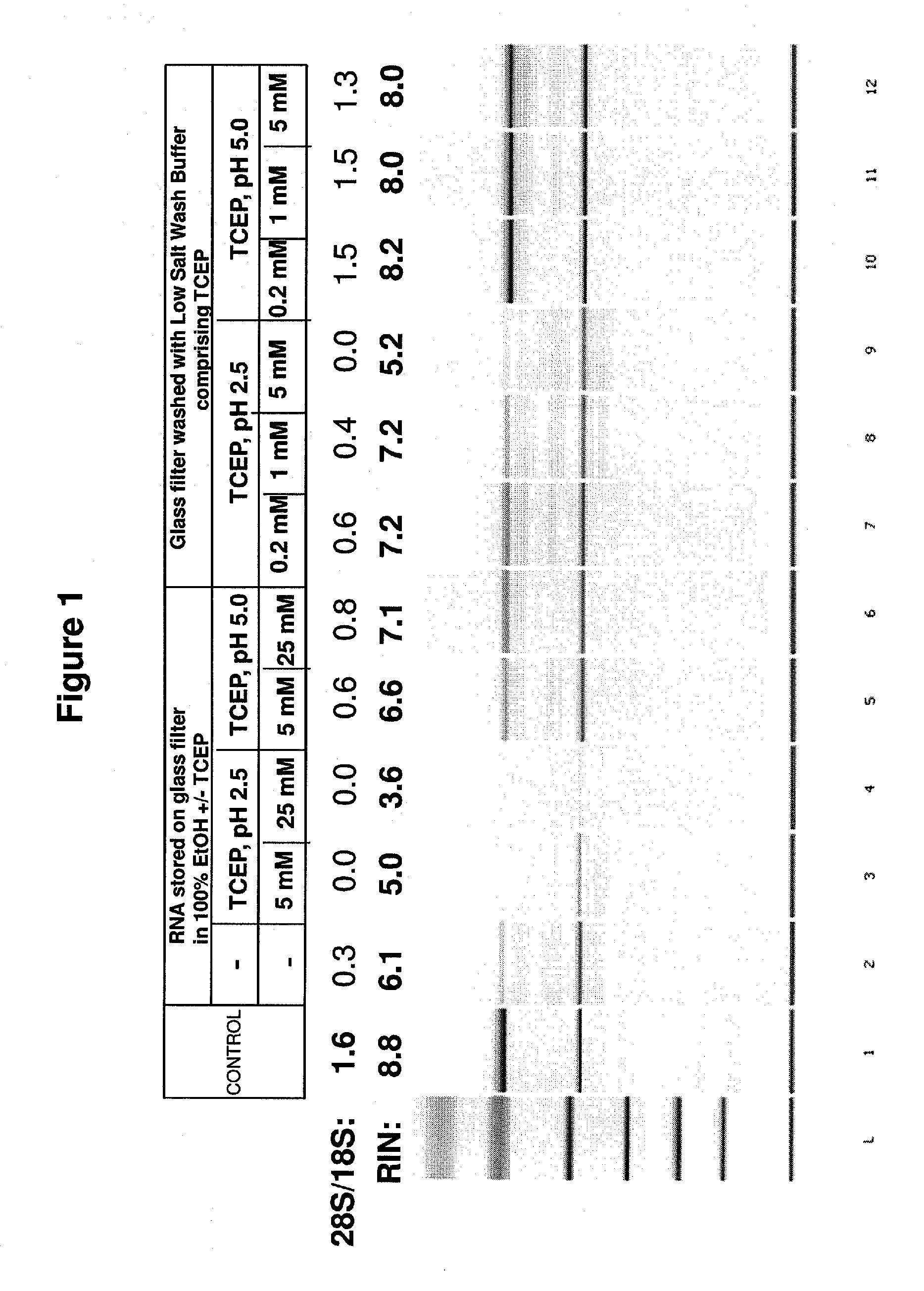 Stabilization of nucleic acids on solid supports