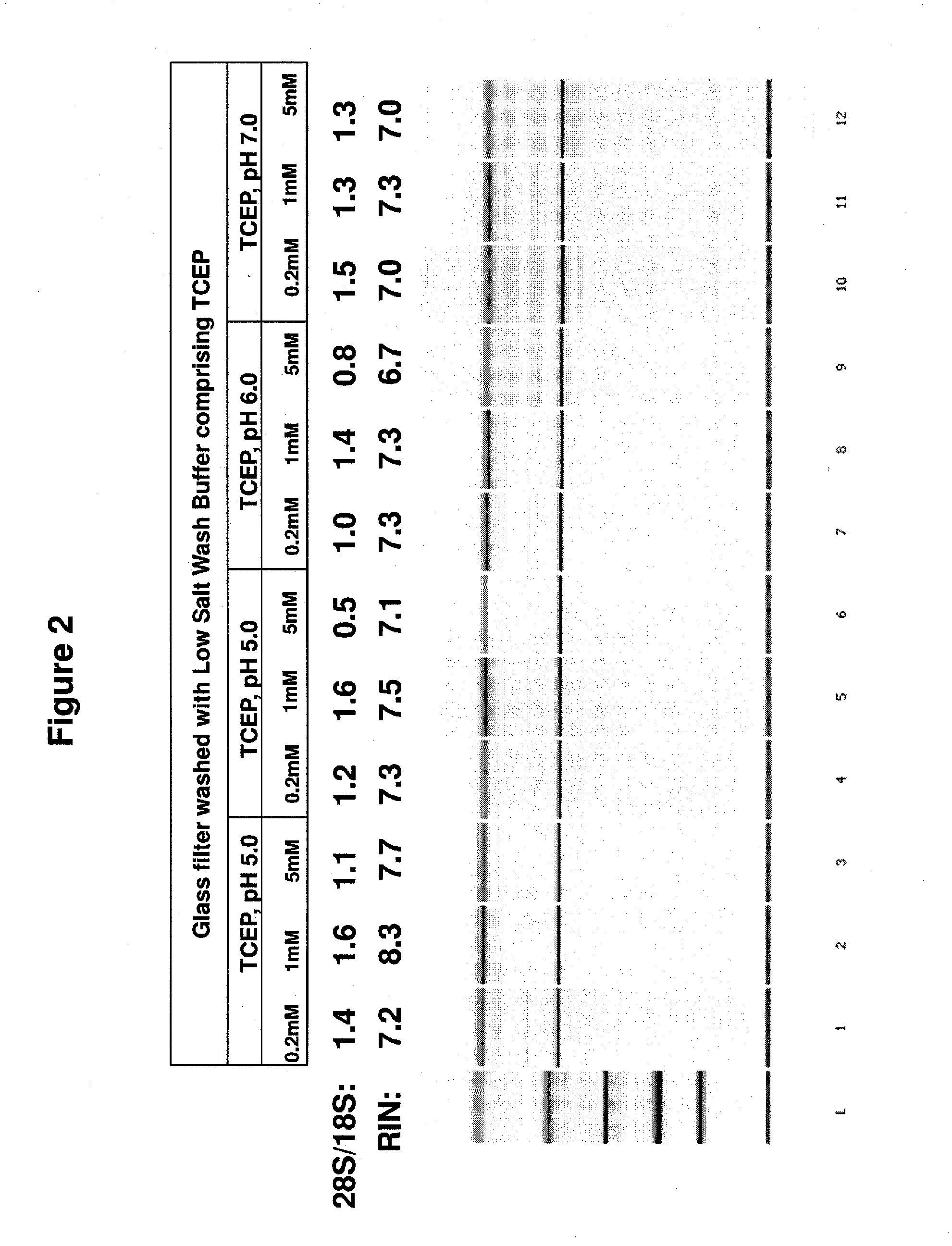 Stabilization of nucleic acids on solid supports