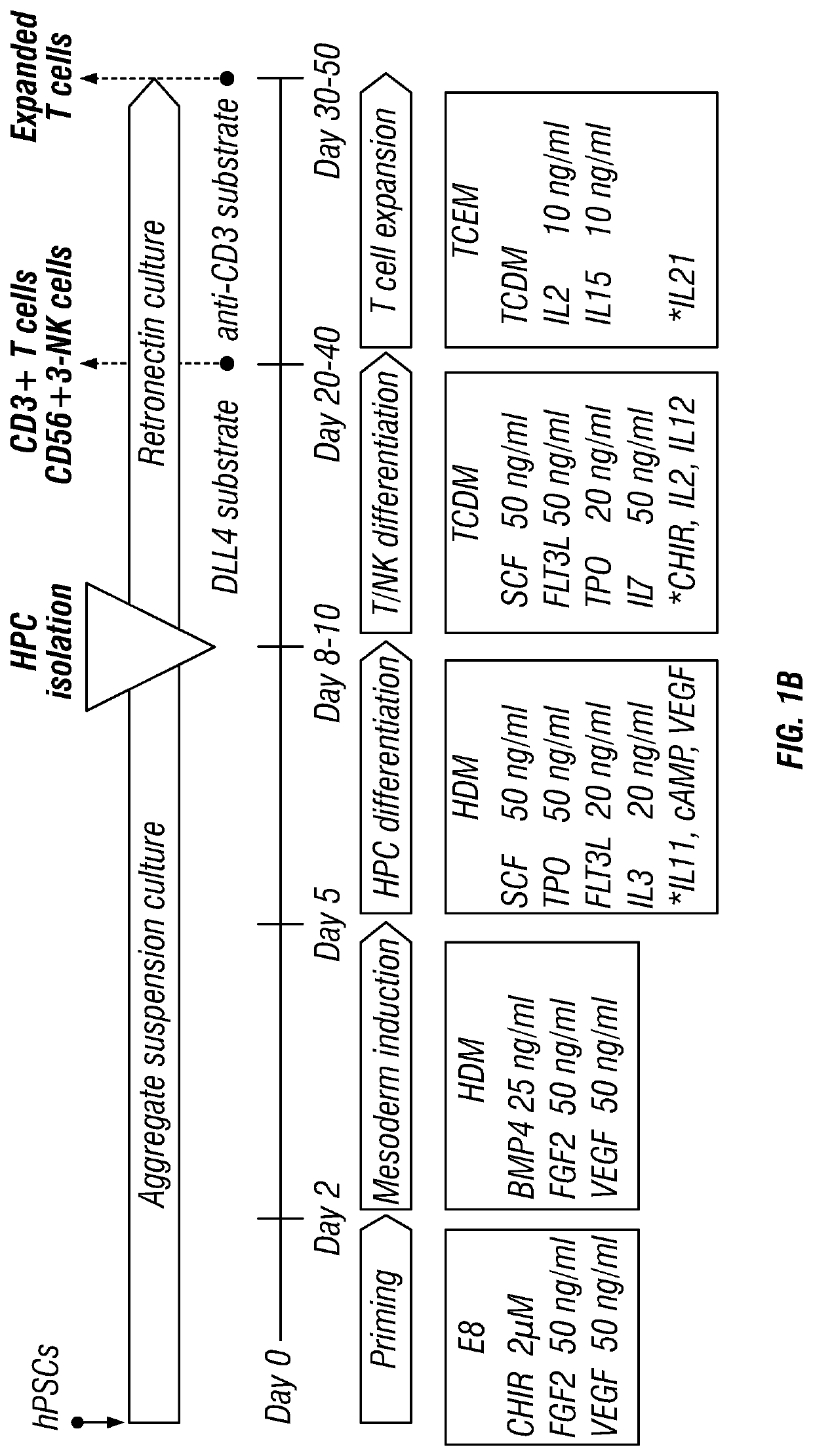 Antigen-specific immune effector cells