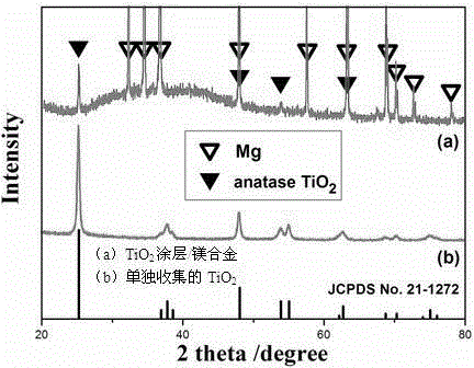 Hydrothermal preparation method of nano-titania coating on surface of magnesium alloy intravascular stent