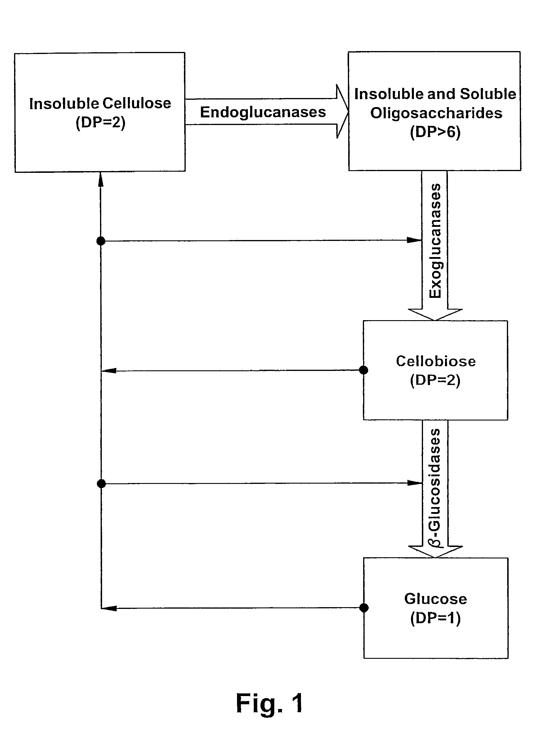 Affinity Foam Fractionation for Collection and Purification of Materials