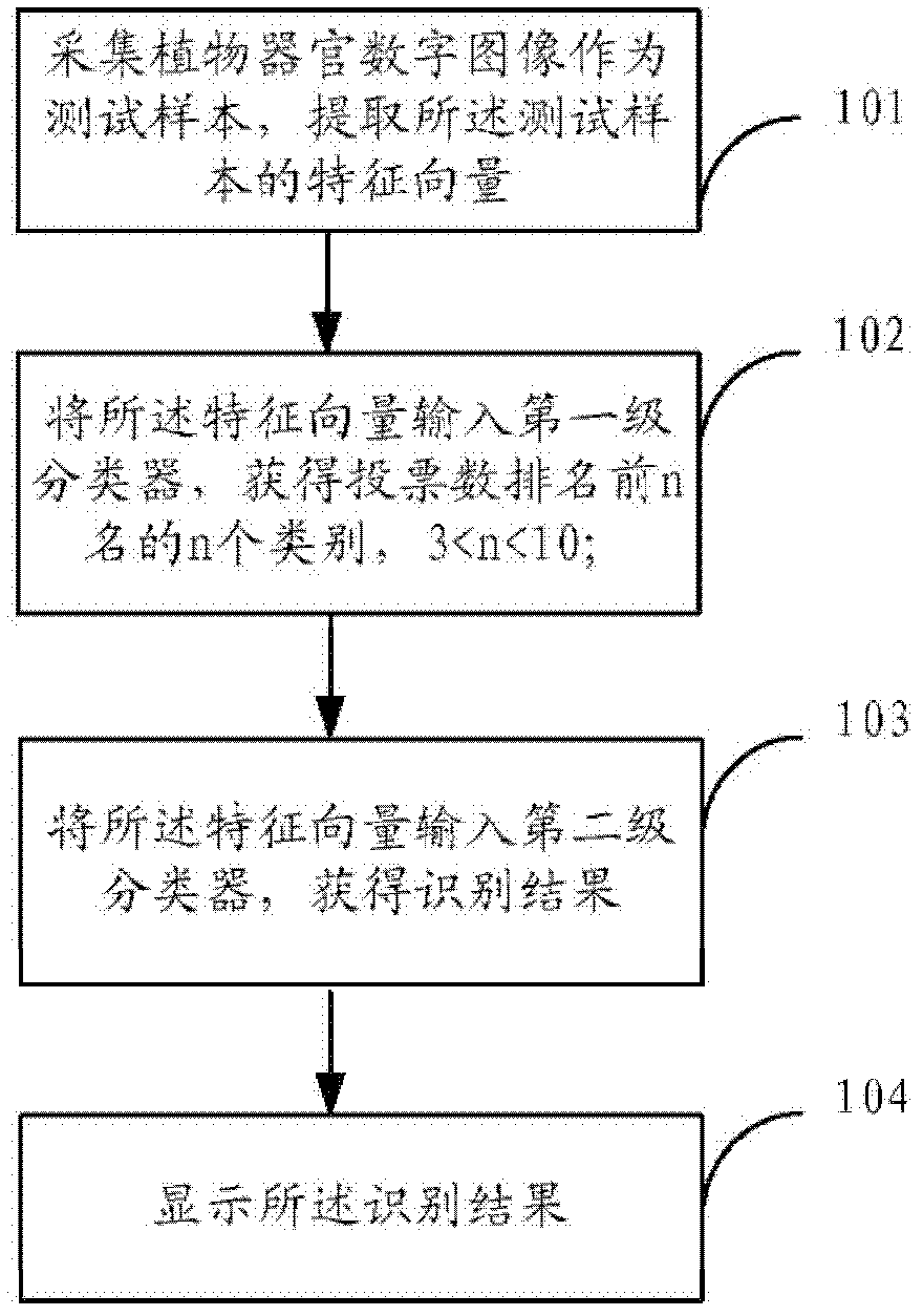 Plant species identification method based on digital image