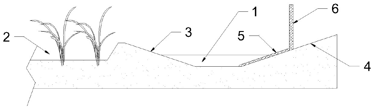 Breeding method of rice field crayfish cultivation-breeding separation