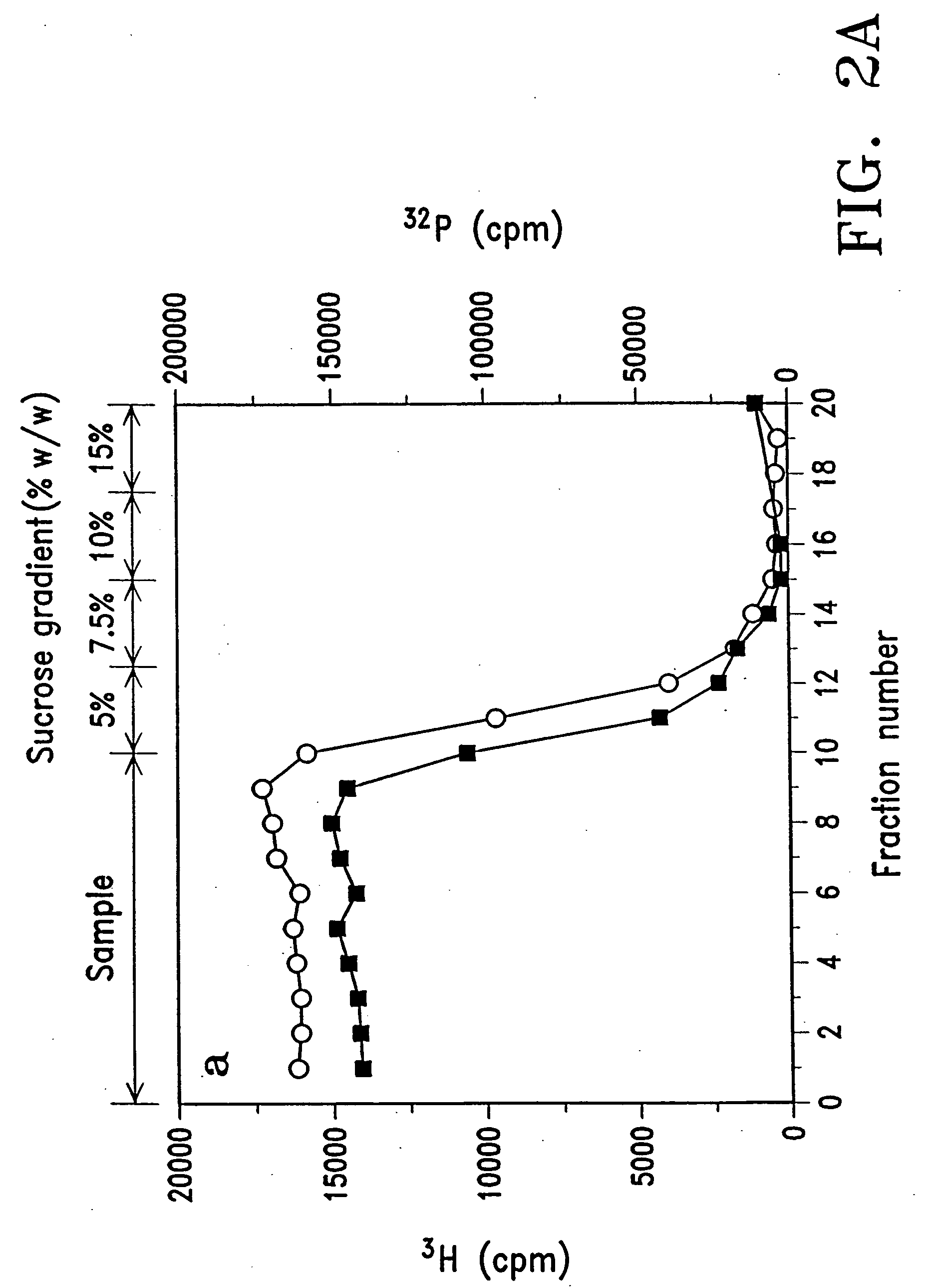 Stable lipid-comprising drug delivery complexes and methods for their production