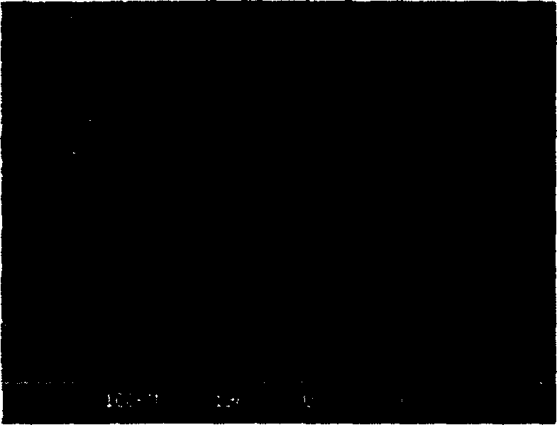 Titanium-nickel-carbon reacting spraying composite powder and preparation thereof