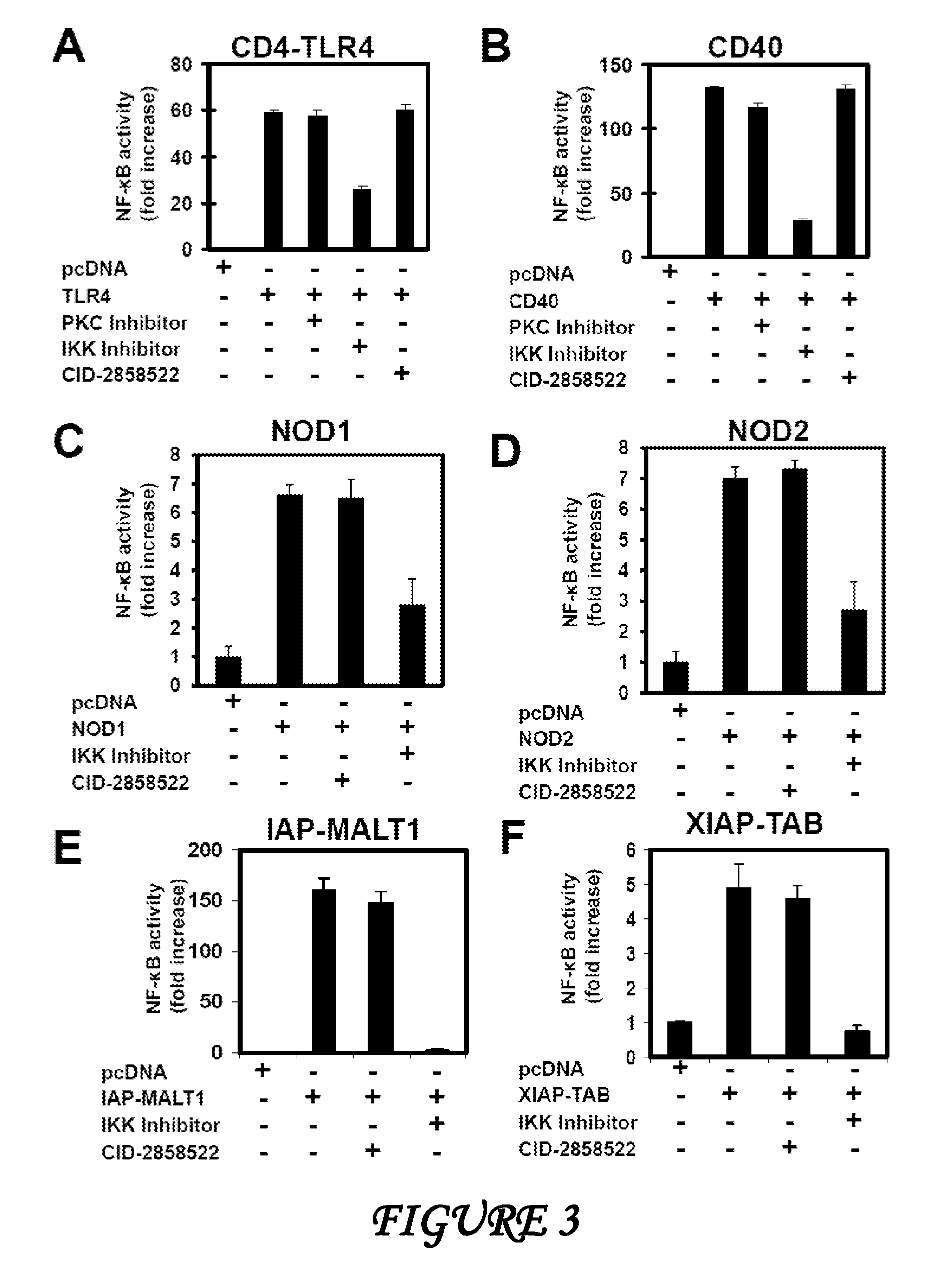 INHIBITORS OF ANTIGEN RECEPTOR-INDUCED NF-kappa B ACTIVATION