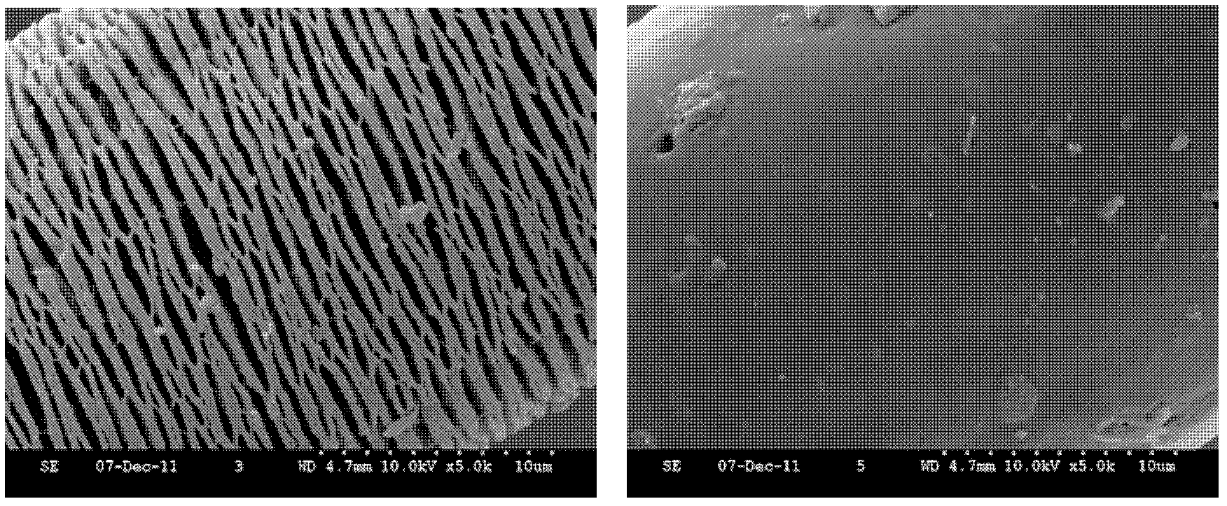 Preparation method of hydrolysis-resistant modified polylactic acid fibers