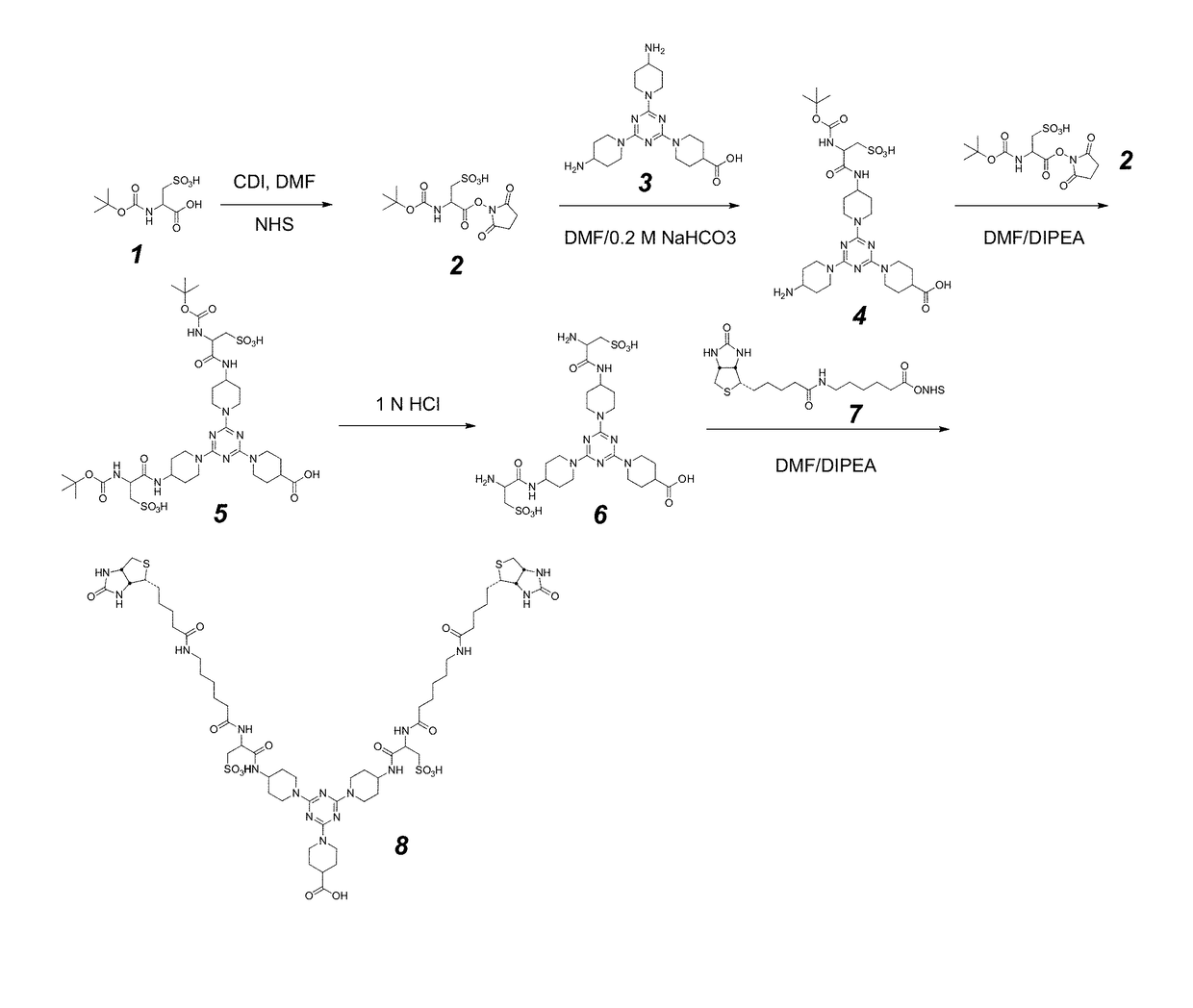 Bis-biotinylation tags