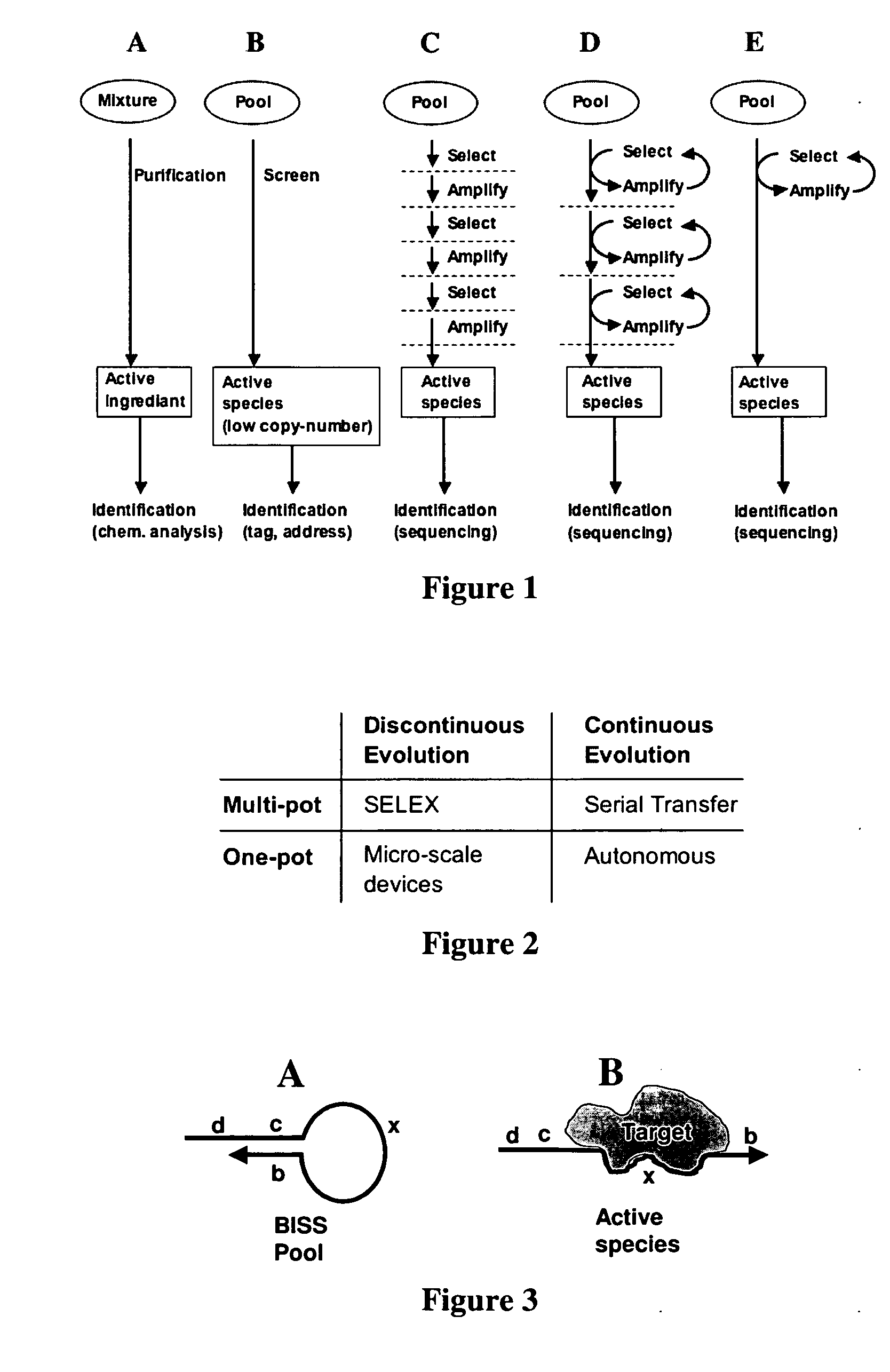 Autonomous in vitro evolution