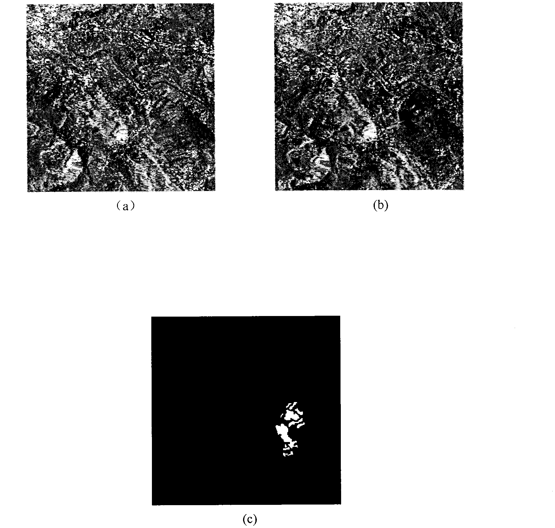 Synthetic aperture radar (SAR) image change detection difference chart generation method based on contourlet transform