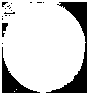 Preparation method of aquatic fish skin collagen hydrogel