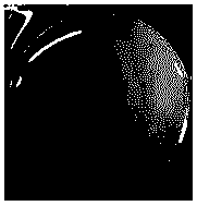 Preparation method of aquatic fish skin collagen hydrogel