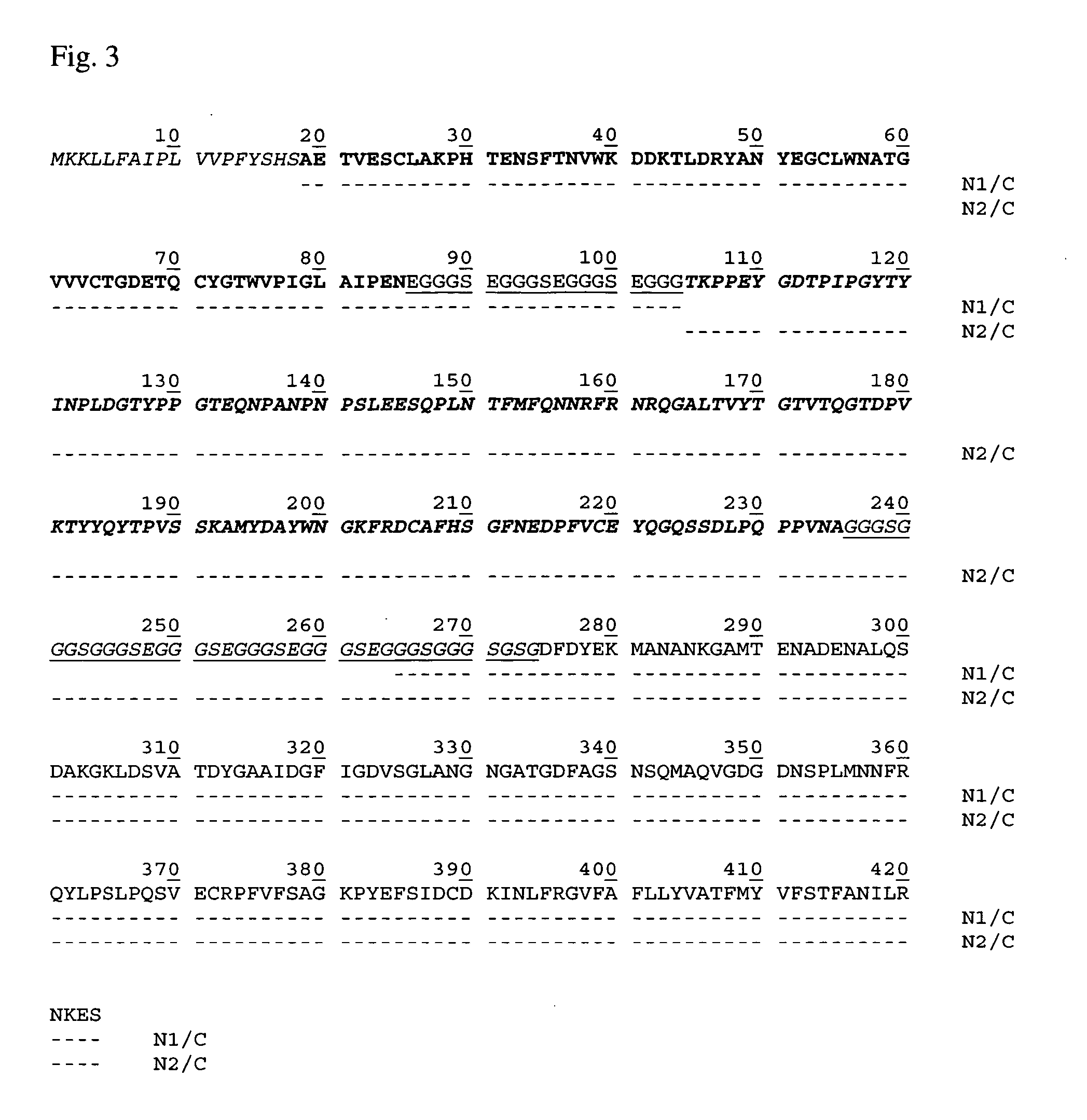 Compositions and methods for phage display of polypeptides