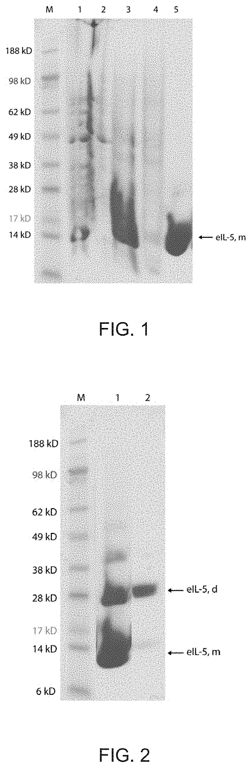 Treatment of insect bite hypersensitivity